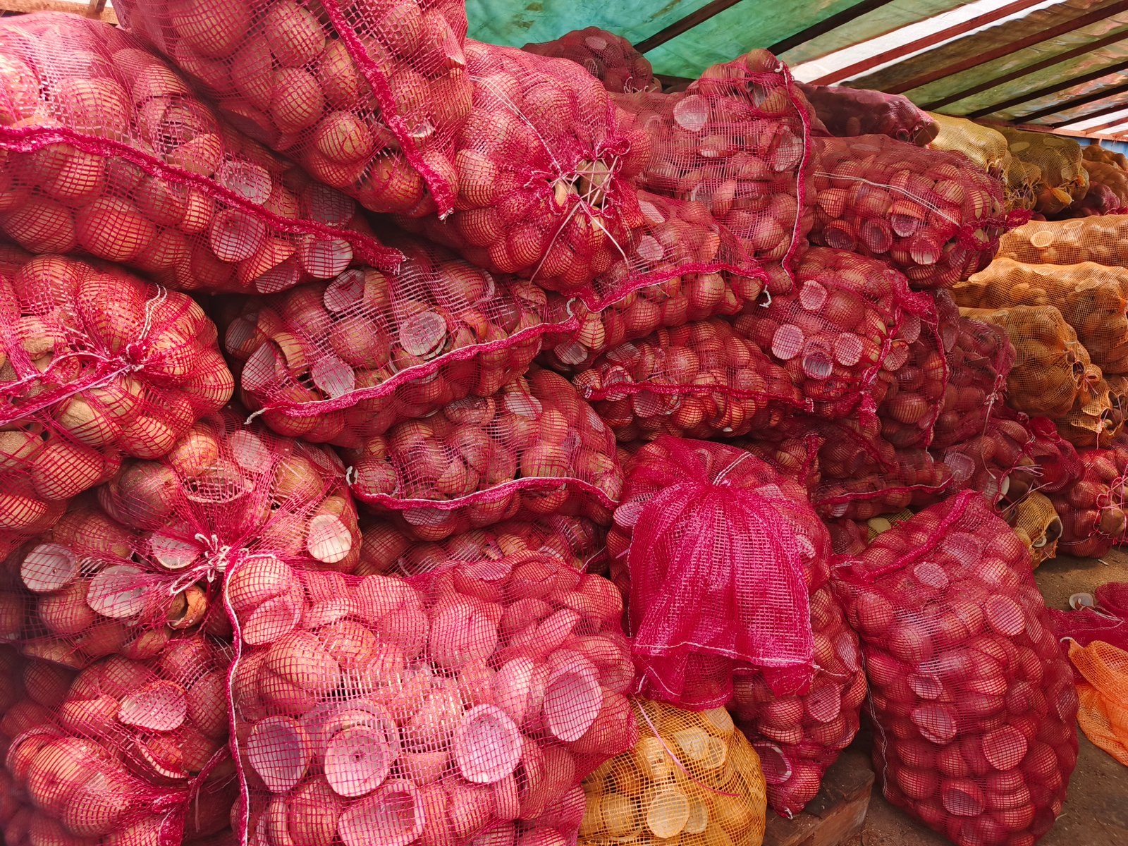 Galeri Foto 3